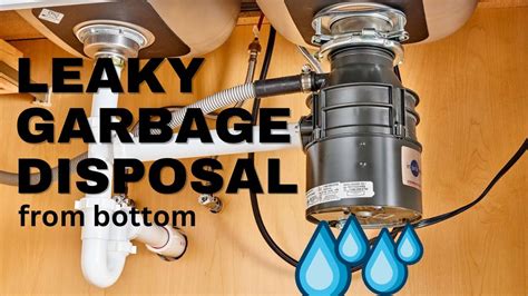 garbage disposal leaking from bottom|Garbage Disposal Leaking from the Bottom: Troubleshooting & Fix